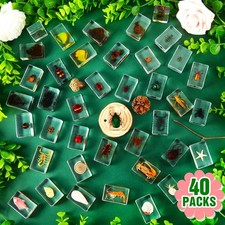 40 Pcs Insect in Resin