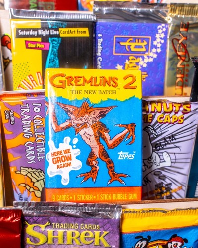 Gremlins the new batch - the,