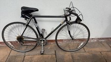Vintage Raleigh Pursuit 1980
