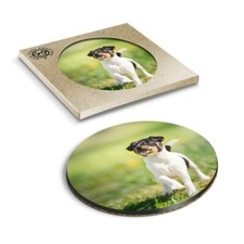 1 x Boxed Round Coasters - Cute Fox Terrier Dog Puppy #2223