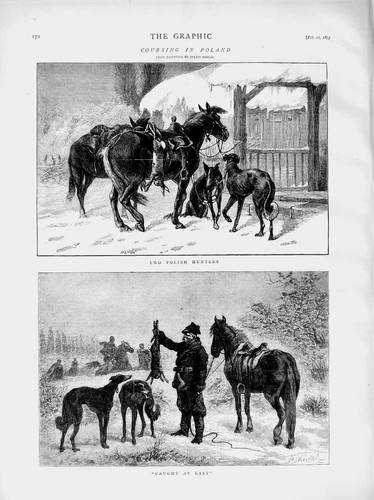 Original old antique - antique, print