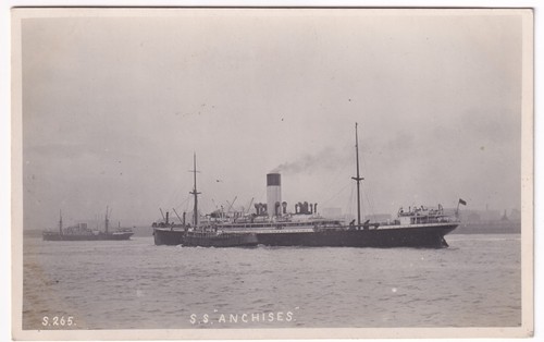 Anchises blue funnel line - ss,