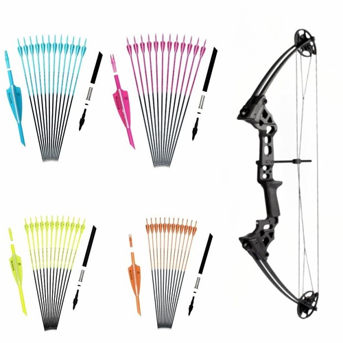 Archery black compound bow - archery,