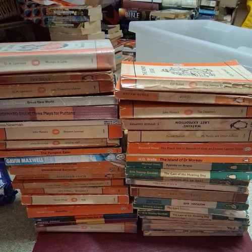40x penguin puffin vintage - 40x,