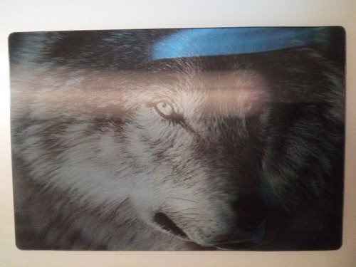 Dark wolf lenticular - wolf:,
