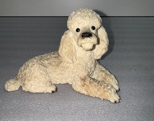 Castagna white poodle resting - white,