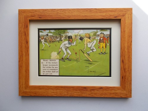 Cricket print comical wicket - cricket,