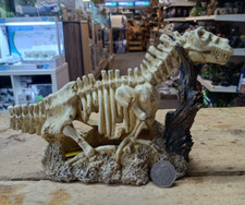Dinosaur skeleton decorative - dinosaur,