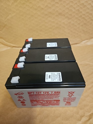 Two enersys 12v - two,