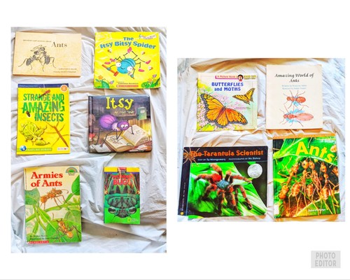Lot insect ant bug books - 10,