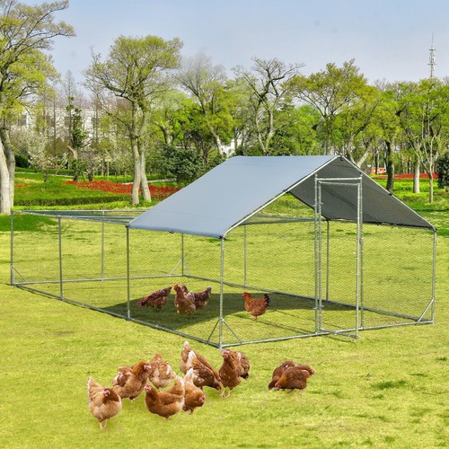 Large chicken run coop - chicken,