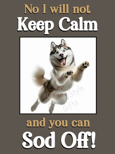 Siberian husky malamute - siberian, pet