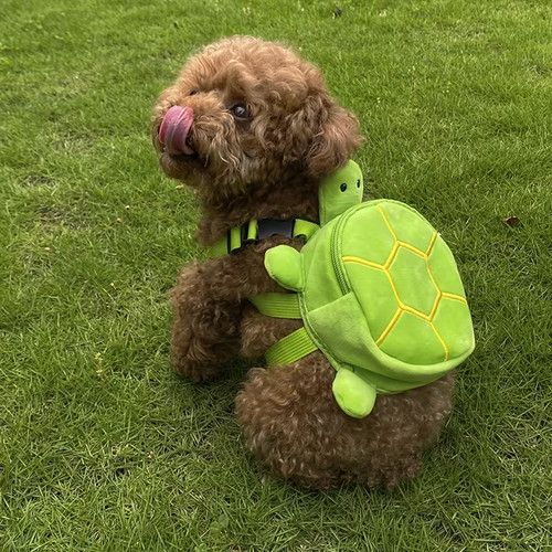 Pet green turtle backpack - pet,