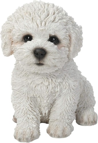 Vivid arts pet - arts, bichon