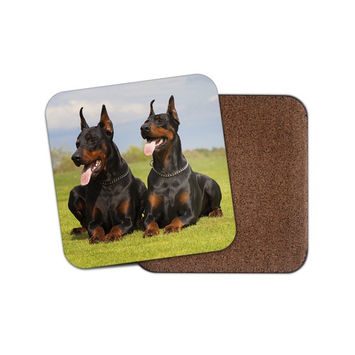 Dobermann dogs coaster puppy - dogs,