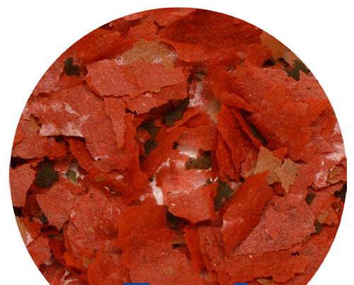 Cichlid flakes malawi - cichlid,