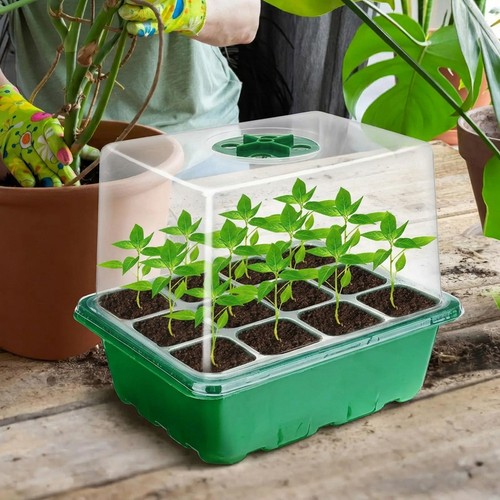 10x seedling starter trays - seedling,
