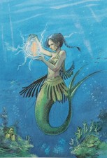 Frédéric PEYNET: The