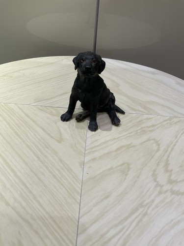 Figurine labrador black - black, “