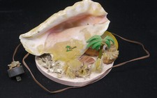 VINTAGE CONCH SHELL, SEASHELL