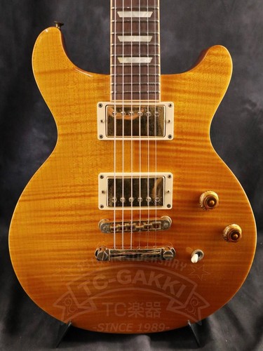Gibson les paul standard - paul,