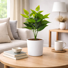 Artificial Plant - Coffee