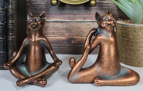 Stretching yoga cats - stretching, lotus