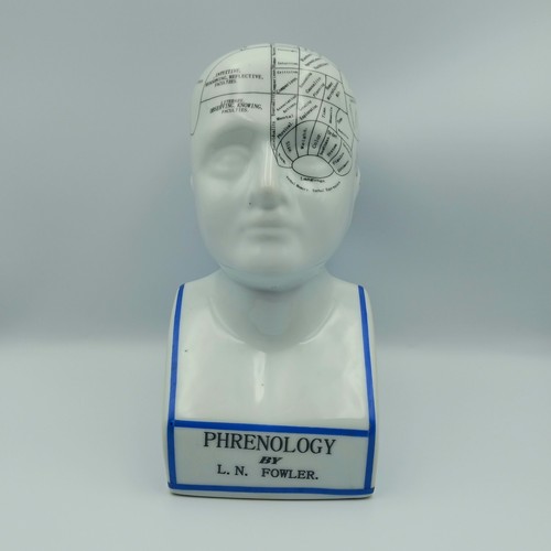 White ceramic phrenology - white,