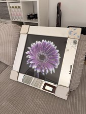 Purple Gerbera Daisy Raised