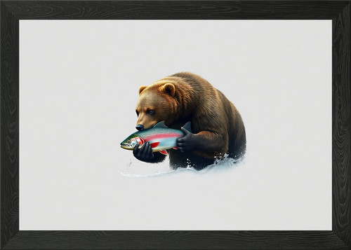 Grizzly bear catching salmon - bear,