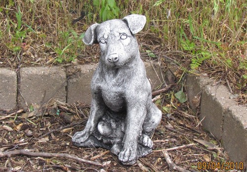 Jack russell concrete garden - russell,