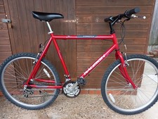 Gents Raleigh Mountain Bike. From About The 90's. In peffect Condition.
