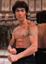 Bruce lee enter the - lee, as
