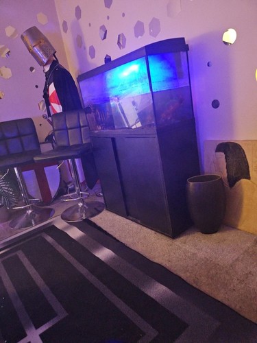 Aquarium with stand - aquarium,