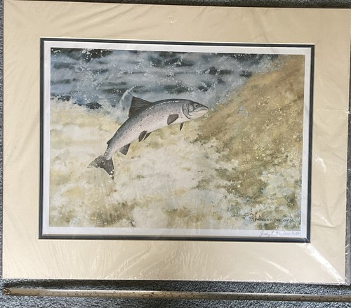 Salmon print limited edition - salmon,