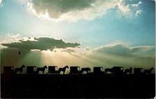 Amish Country Silhouetted Old Order Horse Buggies Postcard VTG UNP Koppel Unused