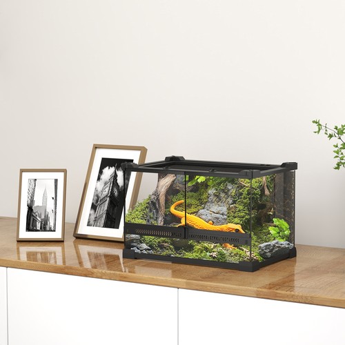 Glass terrarium with stone - glass,
