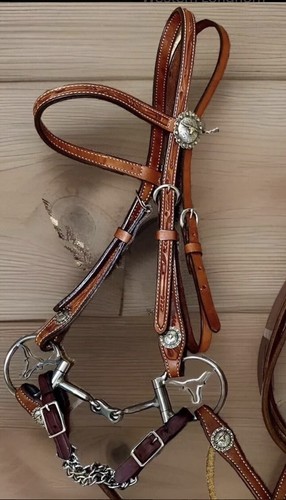 Western longhorn steer - western,