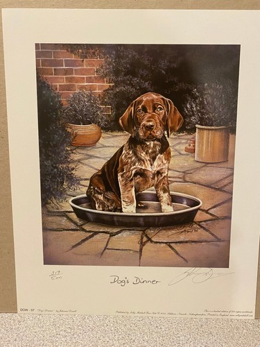 German short haired pointer - german,