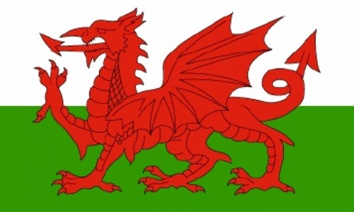 Wales welsh dragon flag x - dragon,