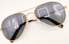 Randolph Engineering AMELIA