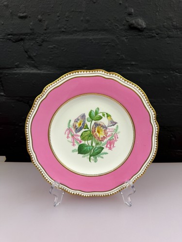 Antique copeland england pink - antique,