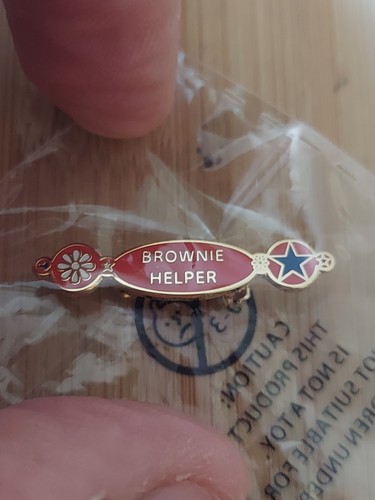 Girlguiding brownie helper - uk,