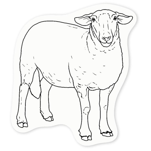 Suffolk sheep clear sticker - sheep',