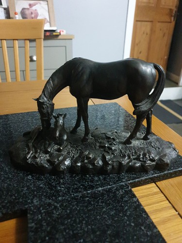 Horse and foal - and, stunning