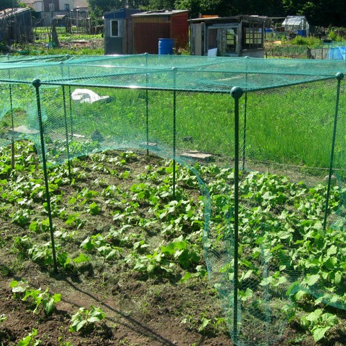 25m high fruit veg cage - high,