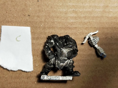Warhammer ruglud s - 🛡, ruglud's