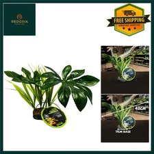 Realistic Reptile Terrarium