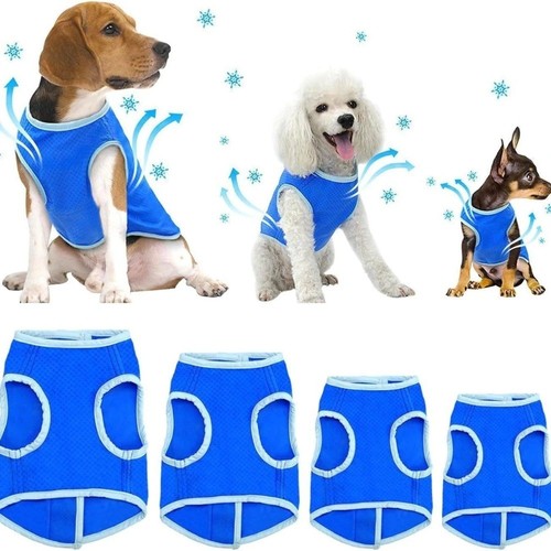 Summer dog cooling vest - summer,
