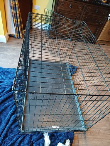 Large pet crate - pet,